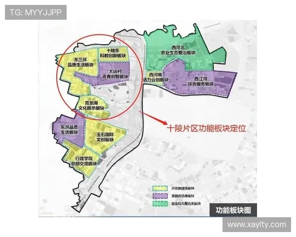 成都排球队近期状态分析与未来发展方向探讨